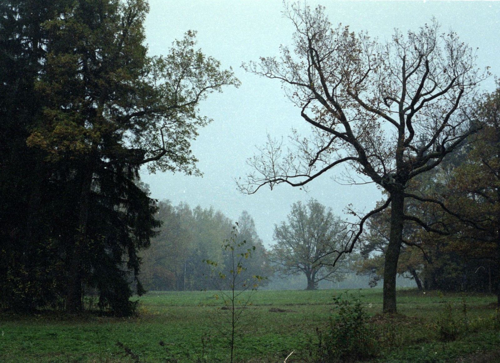 Scan-080326-0005