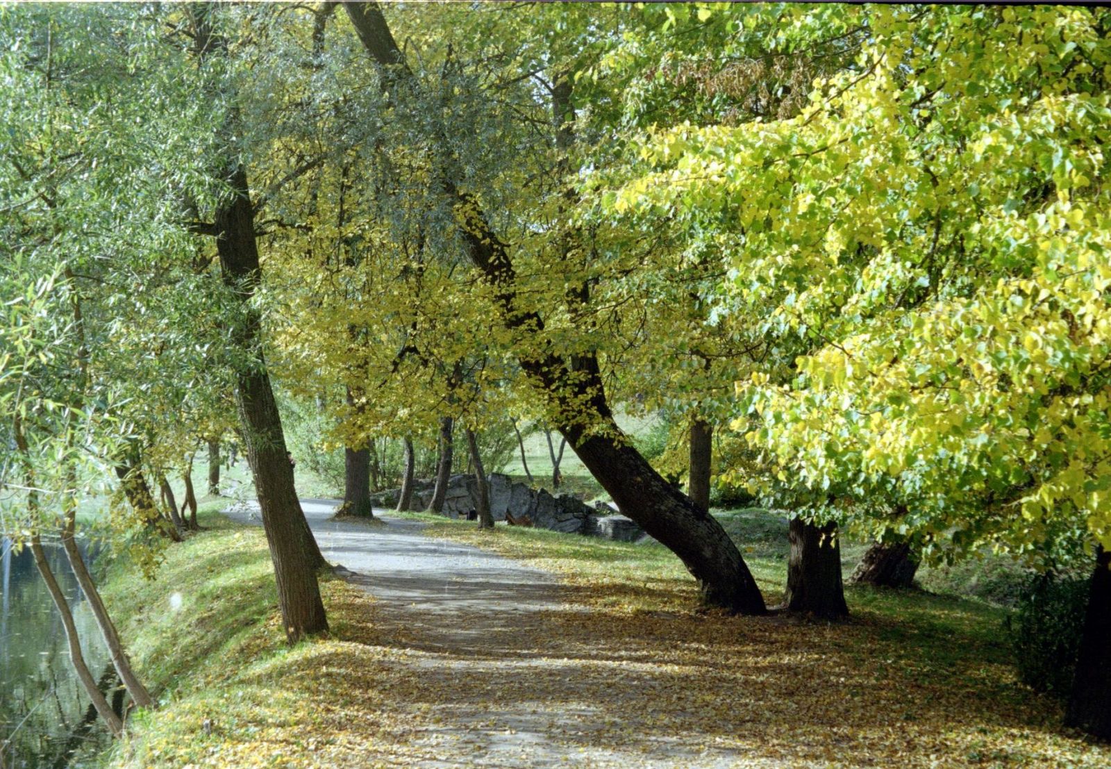 Scan-080326-0009