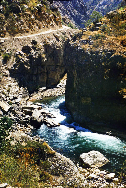 Scan-111215-0015d