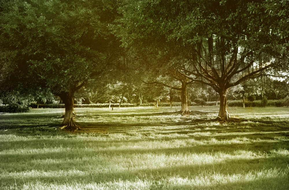 Scan-120702-0046