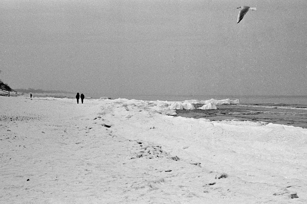 Scan-130129-0016_d