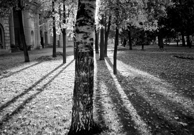Scan