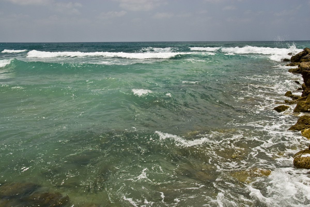 Sea-2
