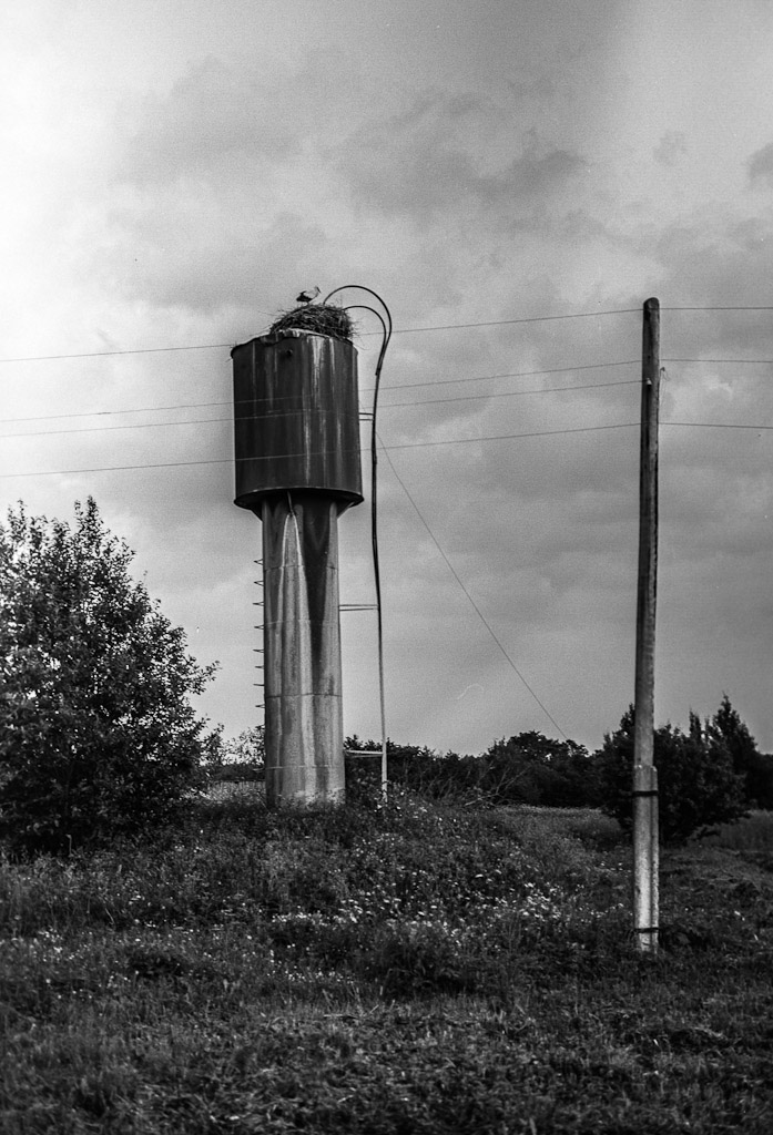 belvederbw022