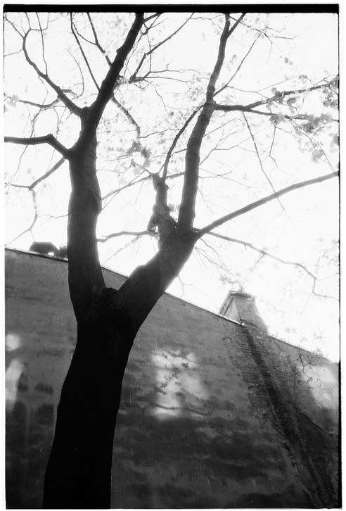frame29_22