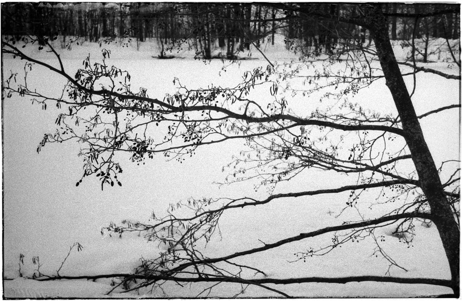 frame_38_2