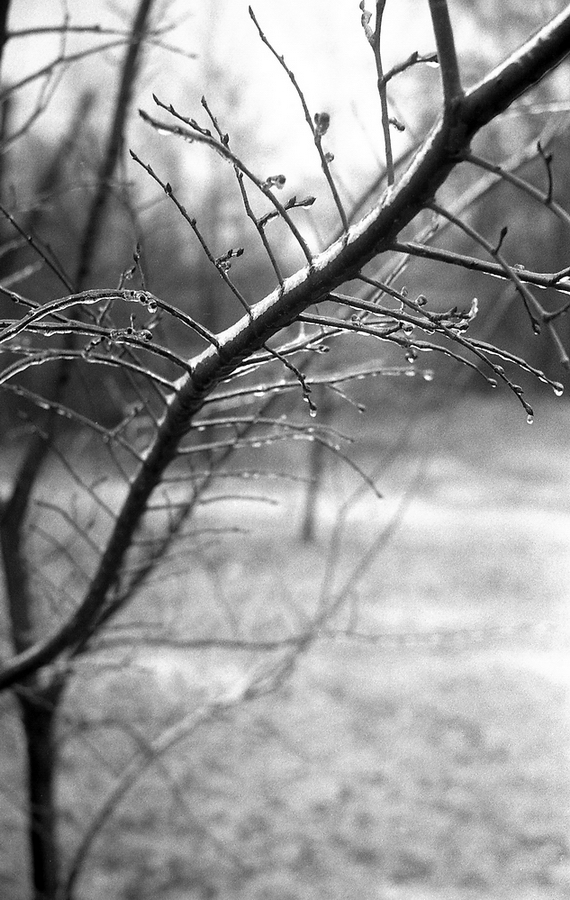 img8242