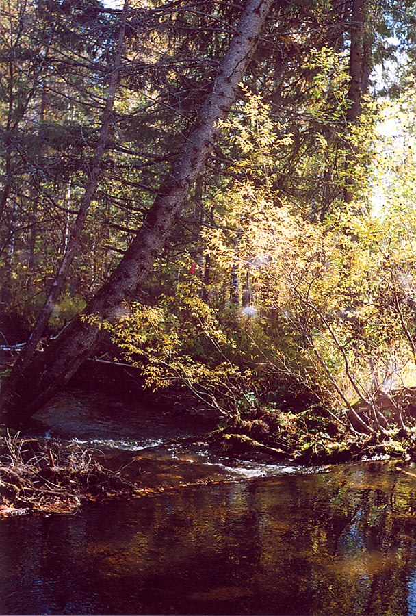 scan00021