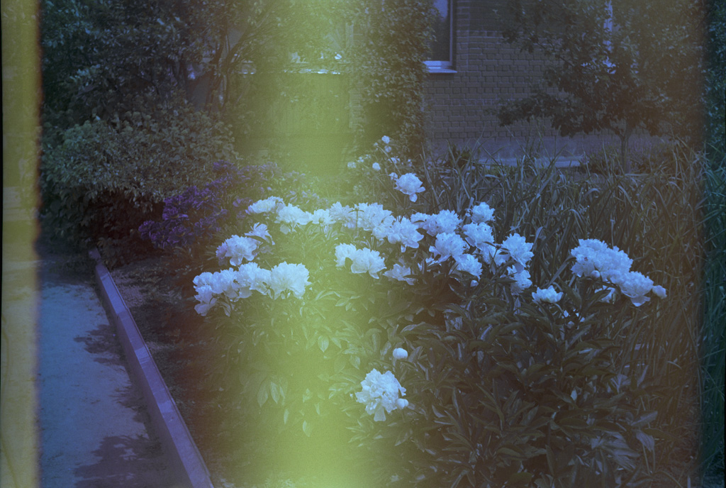 Untitled-30