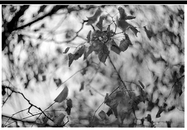 02-helios40-f15-09