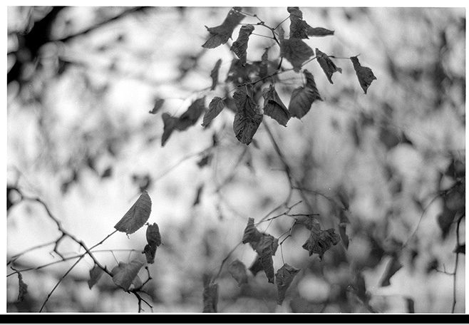02-planar85-f14-25