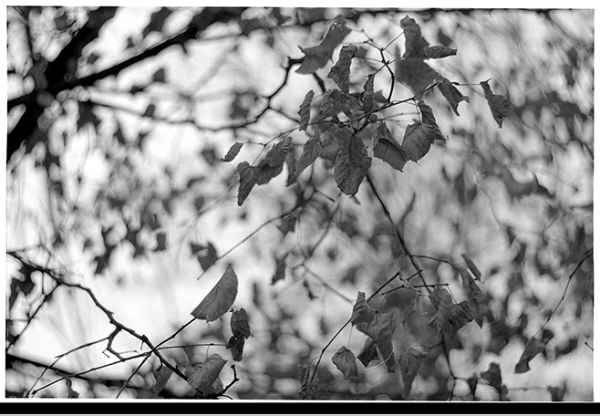 04-helios40-f28-12