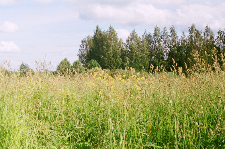 2007_08_014