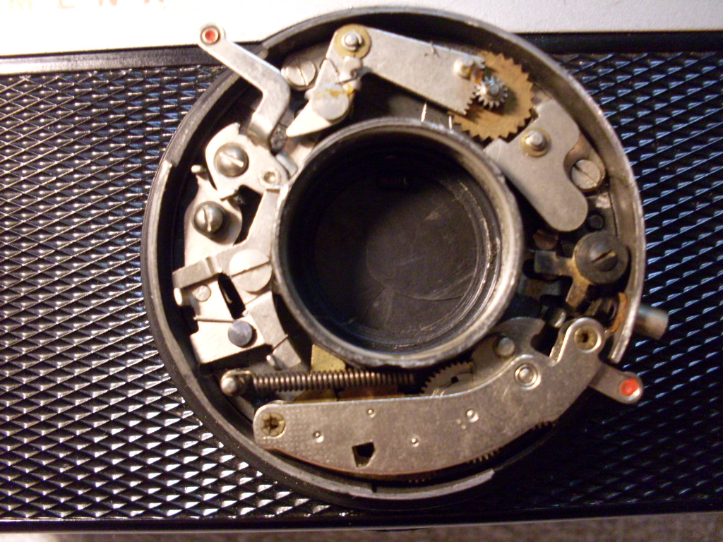 SDC12565