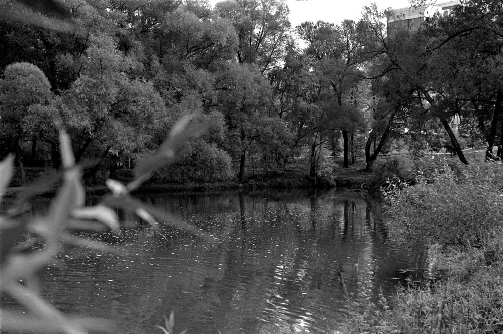 scan00105