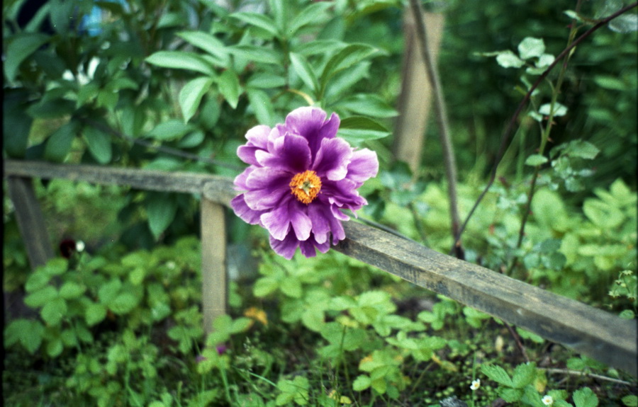 test_kiev-025_