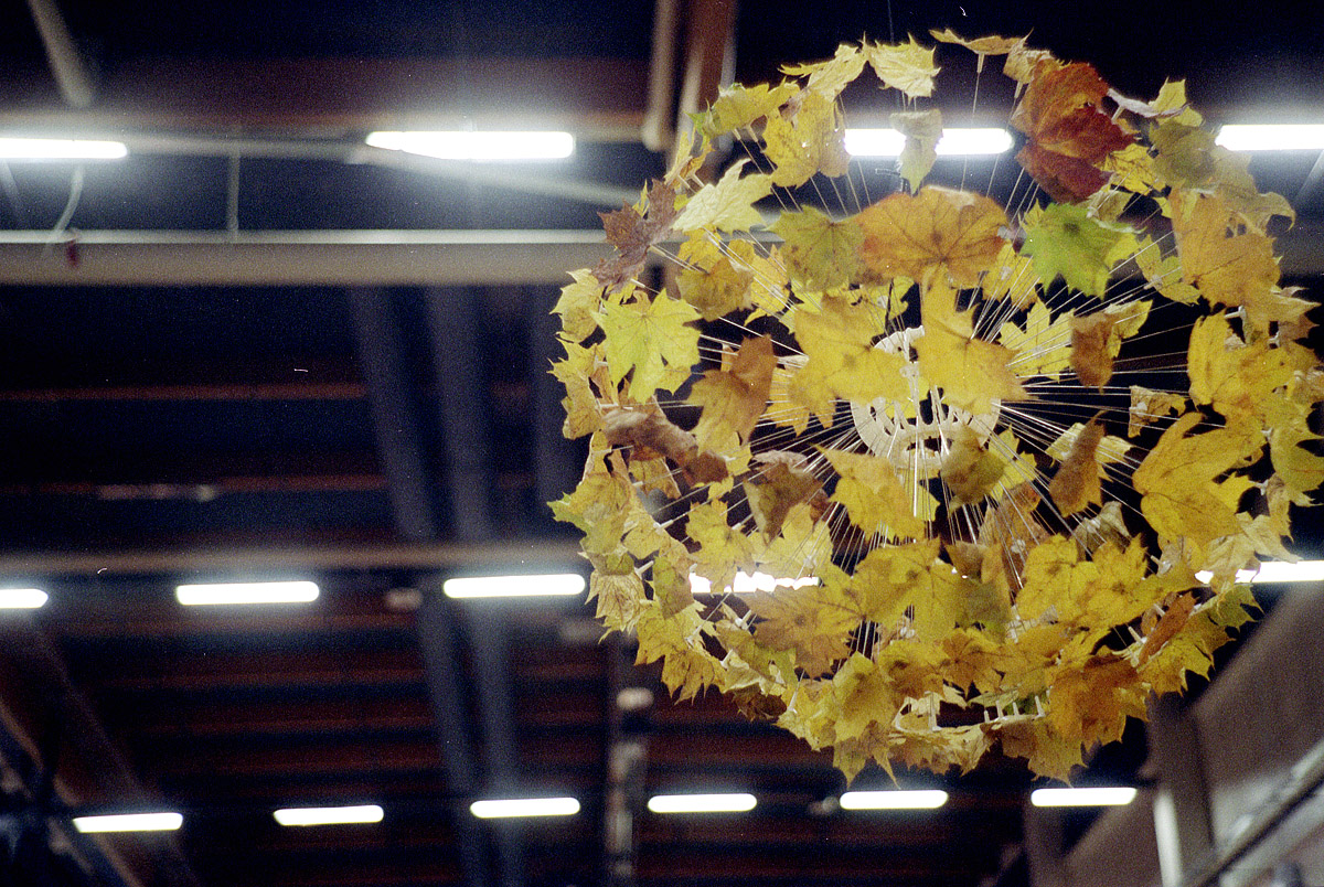 01_leaf-ball