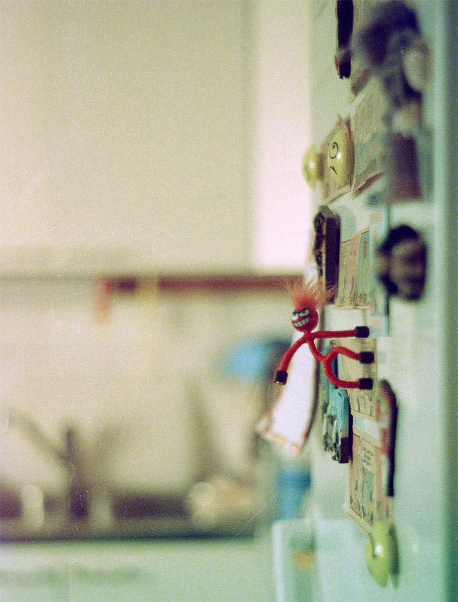06_fridge-duude
