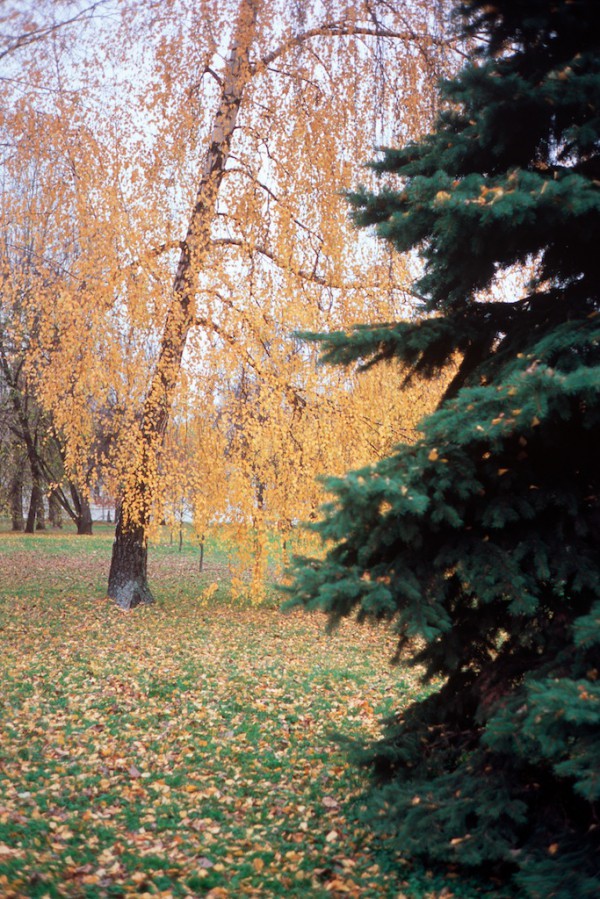 provia100fScan-191022-0012_copy
