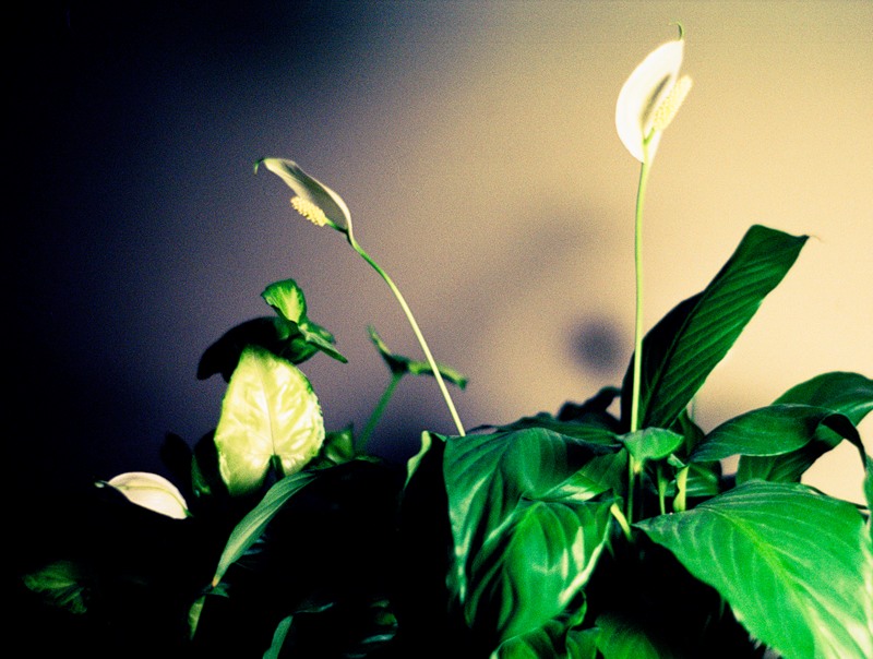 0_52846_ba289120_XL
