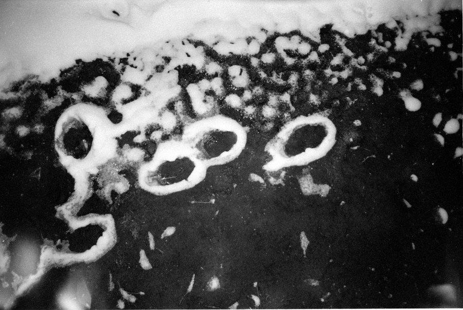 170113-2120-Scan-170130-0002