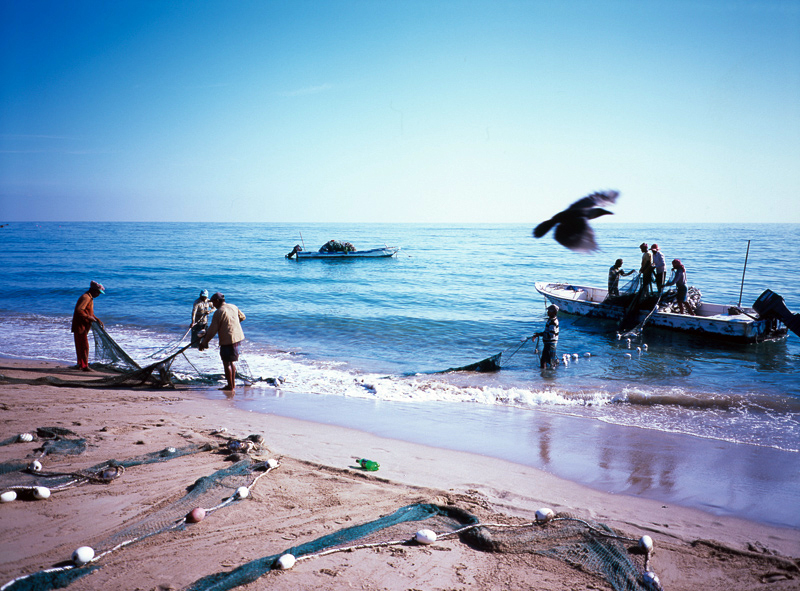 20160201-Fuji_Provia100_GA645_10