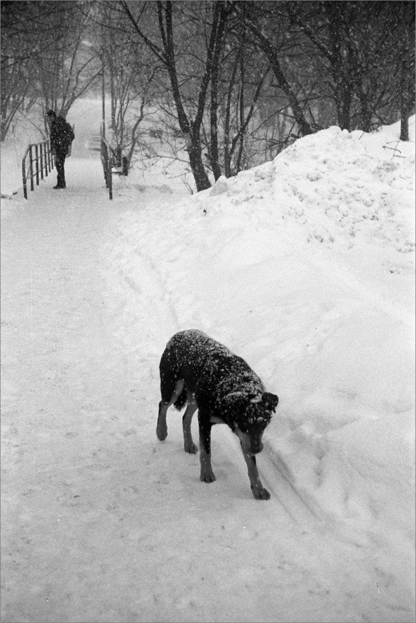 2017-01-21-Type-D-XTOL-Zorky-Industar-22-22