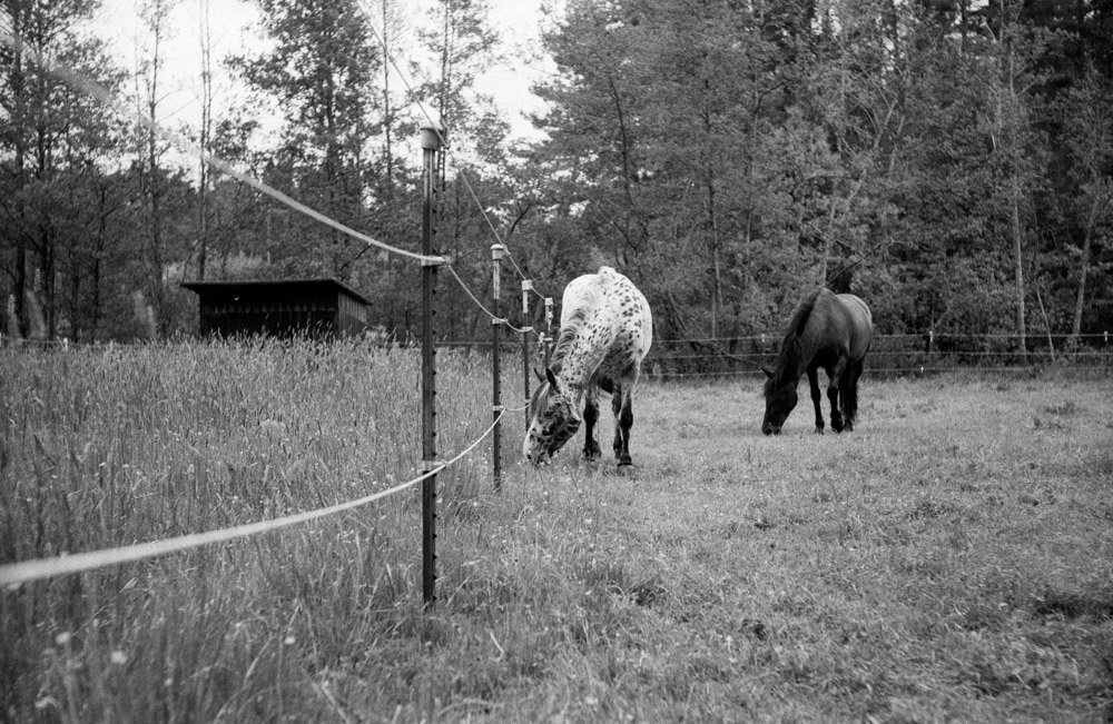 20200523-M7_28mm_RotFilter_Jup3_HP5_HCB_Rotation_8min_VS_N_1_2020-05-23-0027