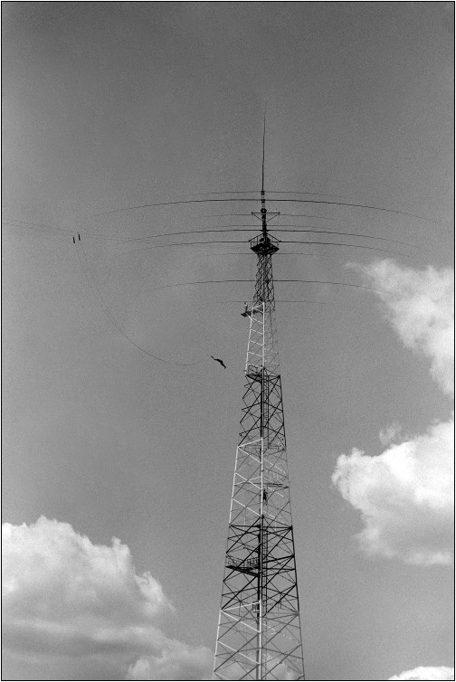 2407_S2N50_Foma100_019_web