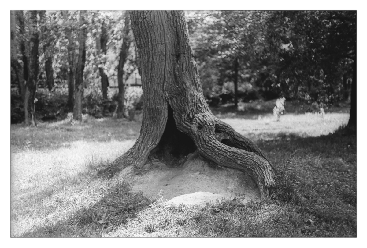 57_K136FR_1200