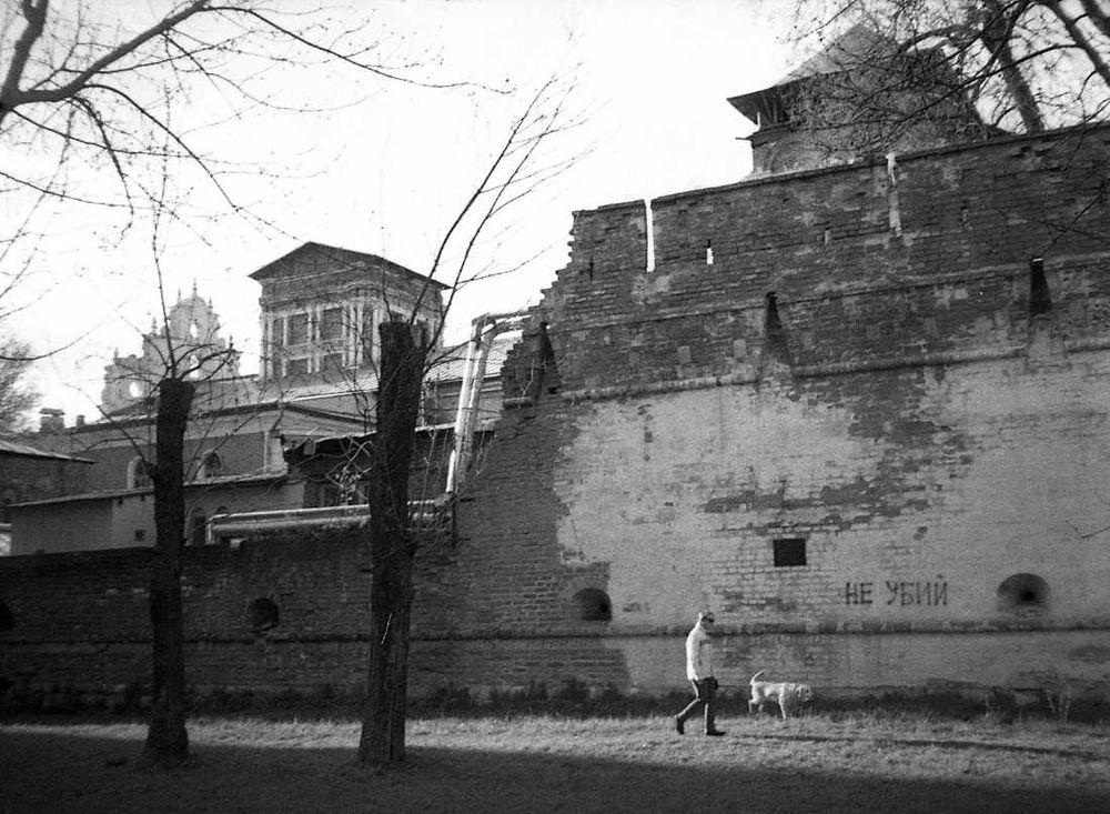 CanonDial35-Aviphot-202205013-065