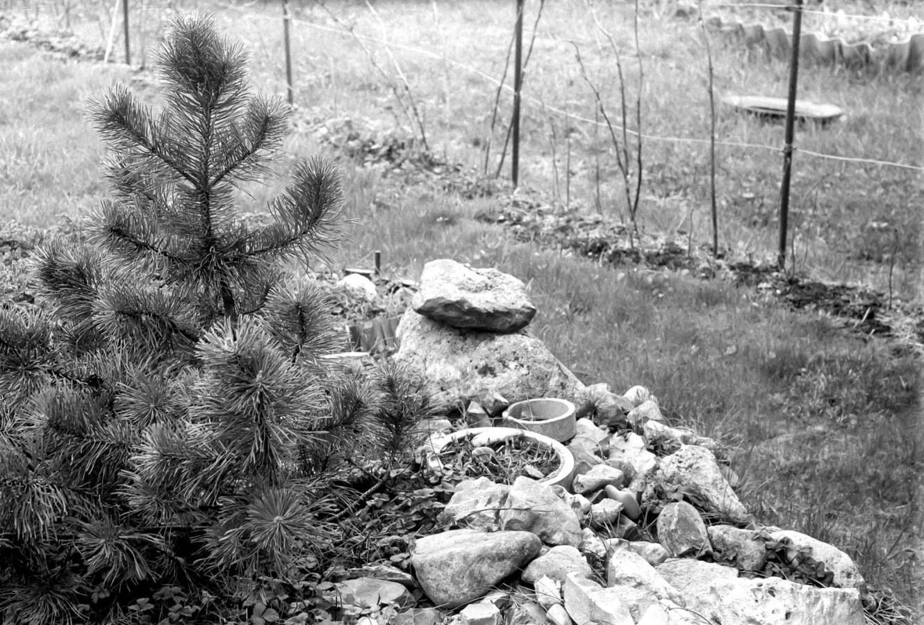 FED_2_JUPITER_12_FOMAPAN_100_at_200_XTOL_1-1_8_min_30_s_may_2021_12