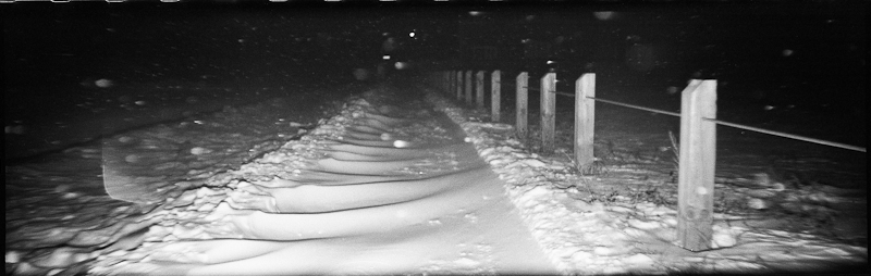 Holga135PAN_Kent400_Rodinal8min25_1Jan_2014995