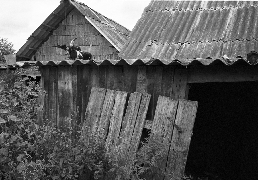 IIIF_HP5_WEB