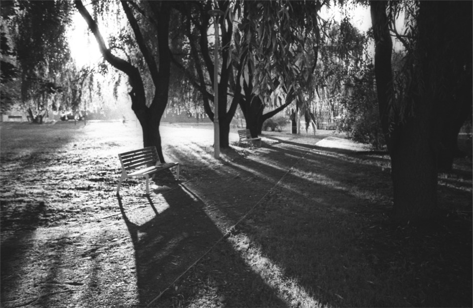 IMG019761