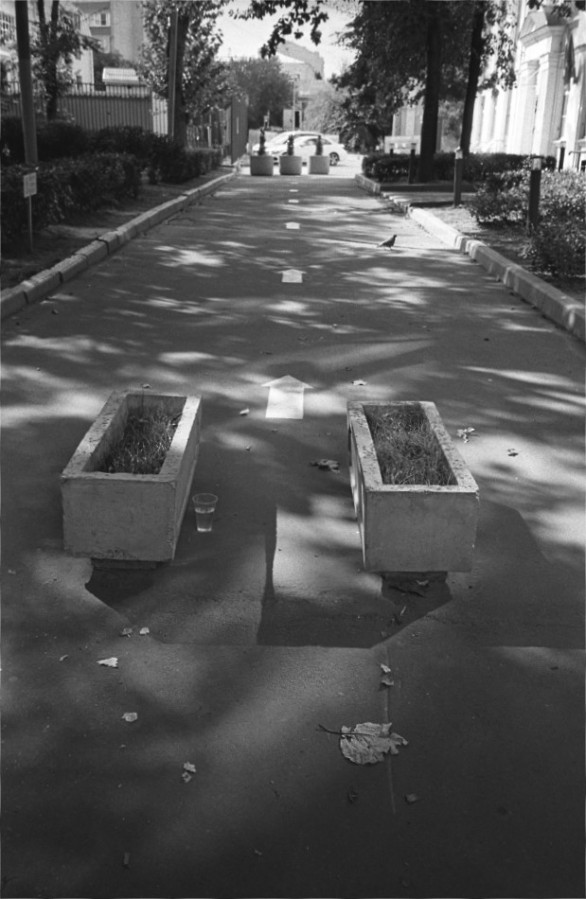 IMG02028