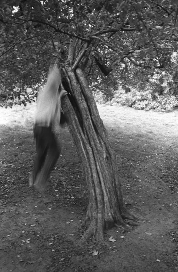 IMG022151