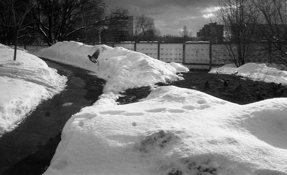 IlfordAdvocate-Fomapan400-20220212-001