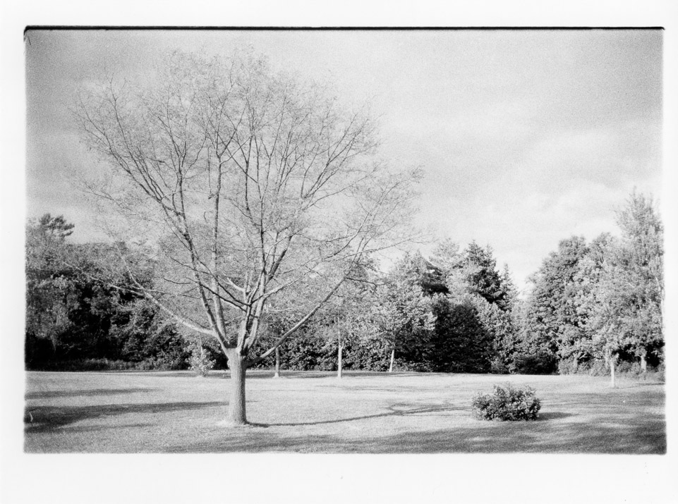 M4-2N35II_HP5R_K8x10RC_2020_BWpaper_280