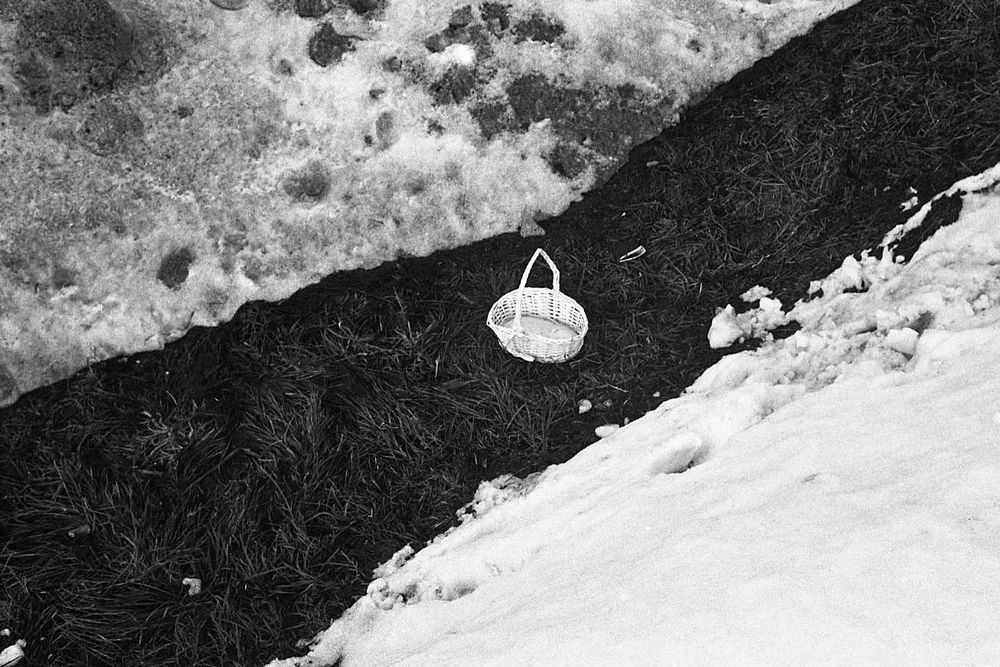 NikonosV-HP5-20220220-002