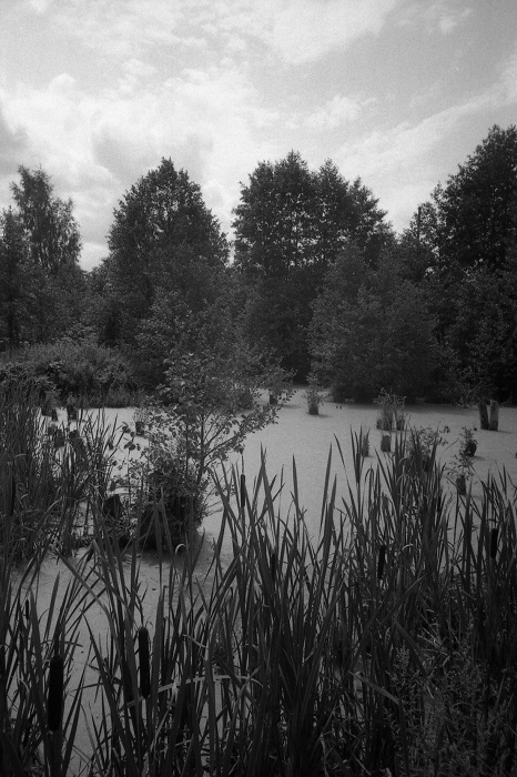 OlympusXA4-20160731-037