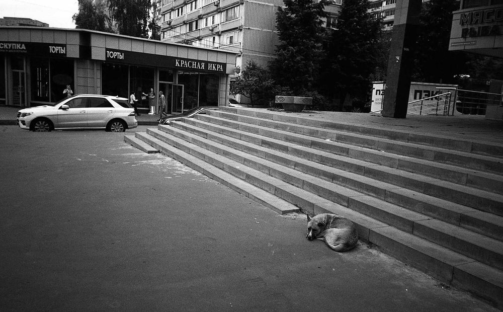 OlympusXA4-Aviphot-20201008-011