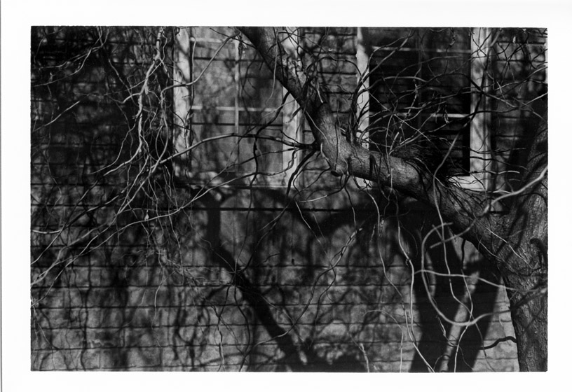 R2M_C50_RF_hp5_400hcB_18081