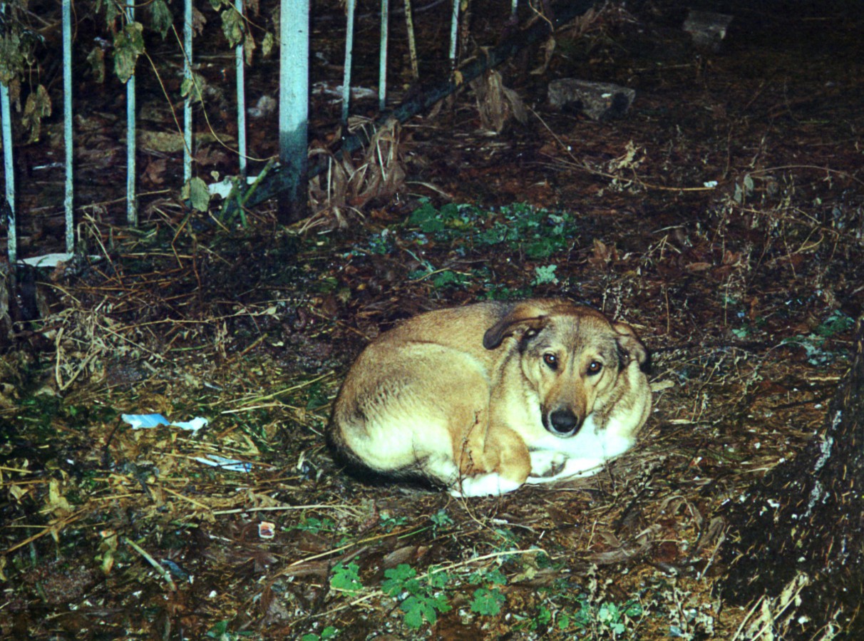 Scan-150212-0001