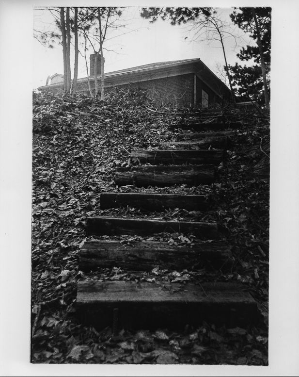 Smena8m_RPX400hcB_AGFA8x10RC_17940