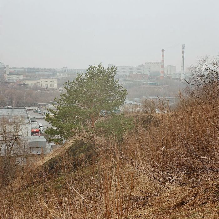 SuperIkonta_Tessar80-20160411-002