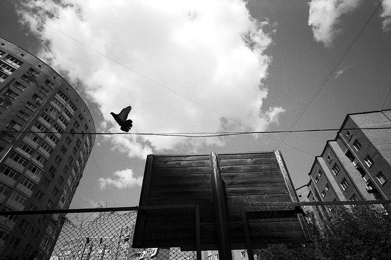 Untitled-656