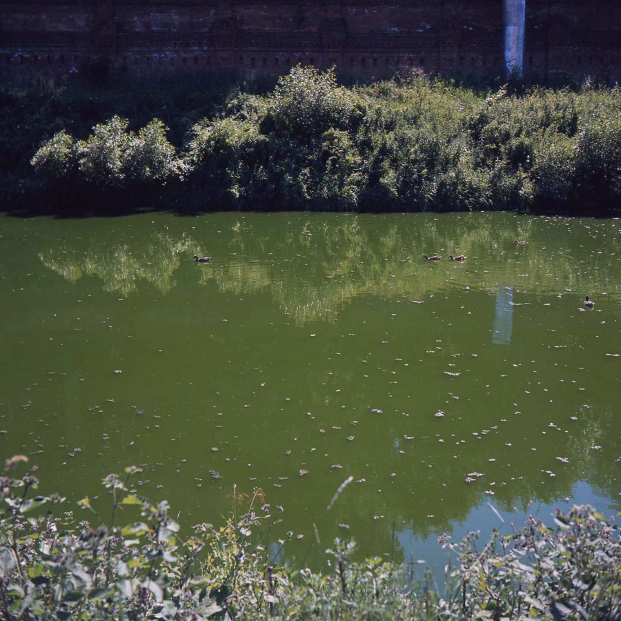 VoigtlanderPerkeo-Provia100-20210716-014