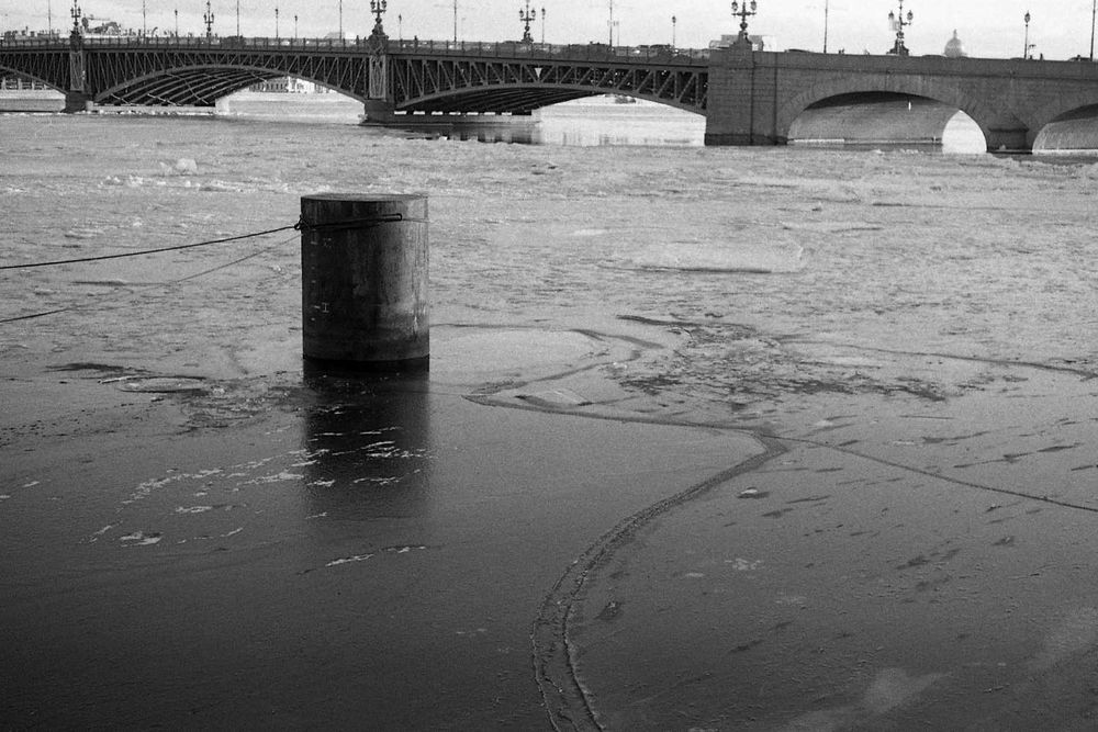 VoigtlanderVitoII-AgfaAviphot-20220401-019