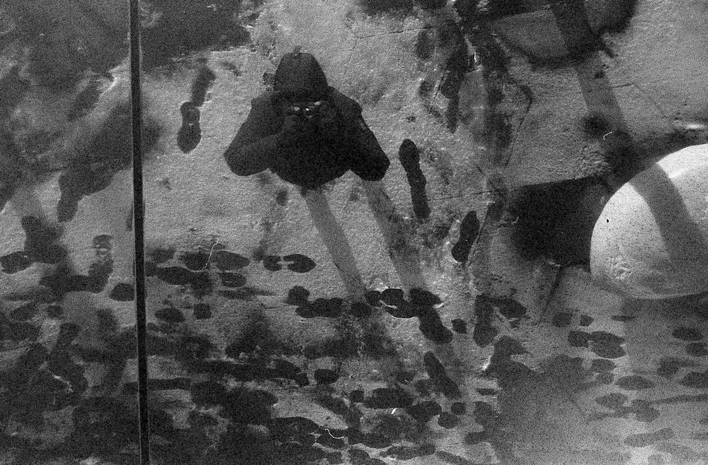 VoigtlanderVitoII-ColorSkopar-Aviphot400-20221205028